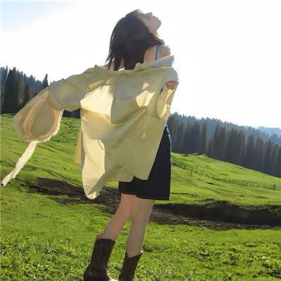 铁血剑客