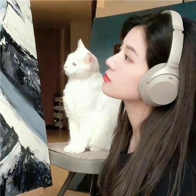 连环杀手的生活指南